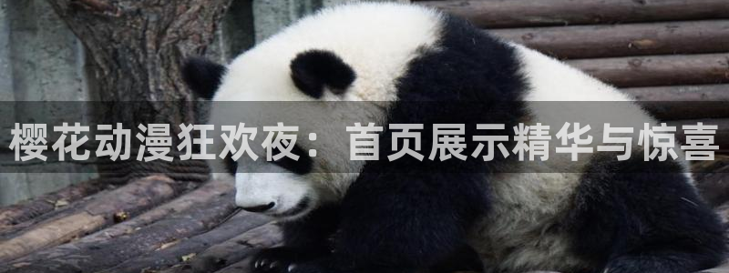 漫画之家下载入口：樱花动漫狂欢夜：首页展示精华与惊喜