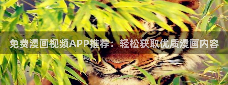 拷贝漫画 copymanager.ory网站：免费漫画视频APP推荐：轻松获取优质漫画内容