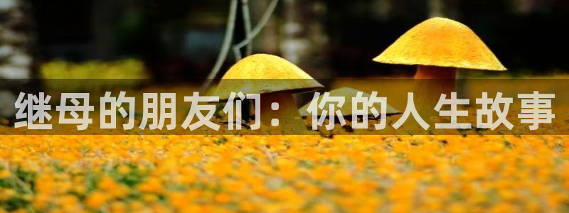age专注动漫的门户网站：继母的朋友们：你的人生故事