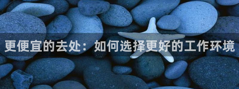 在线动画动漫下载漫画之家：更便宜的去处：如何选择更好的工作环境