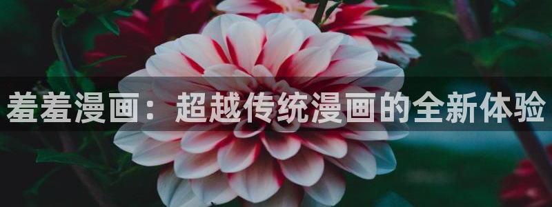 age专注动漫的门户网站：羞羞漫画：超越传统漫画的全新体验