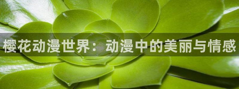 age漫画网：樱花动漫世界：动漫中的美丽与情感