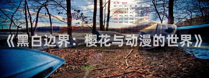 韩国漫画平台kakaopage