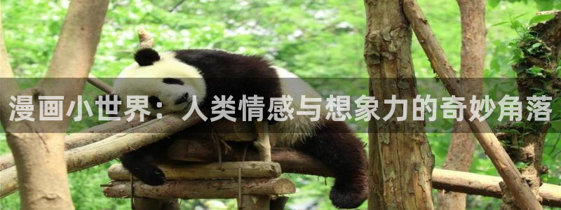 managereader漫画官网入口：漫画小世界：人类情感与想象力的奇妙角落