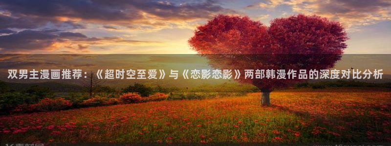 漫画之家网下载：双男主漫画推荐：《超时空至爱》与《恋影恋影》两部韩漫作品的深度对比分析