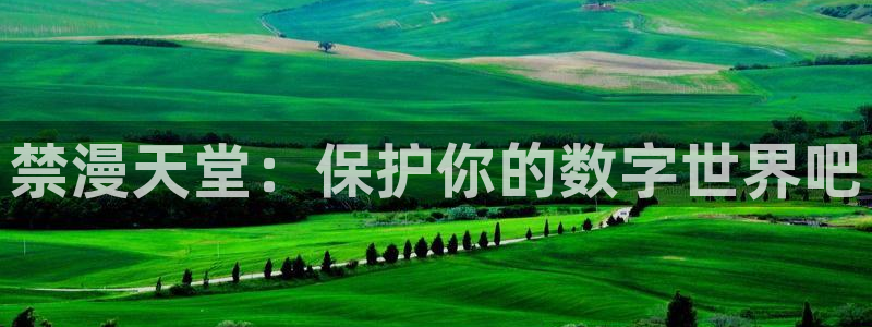 漫画之家专注动漫的门户网站：禁漫天堂：保护你的数字世界吧