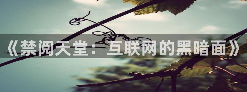 漫画之家网官网入口：《禁阅天堂：互联网的黑暗面》