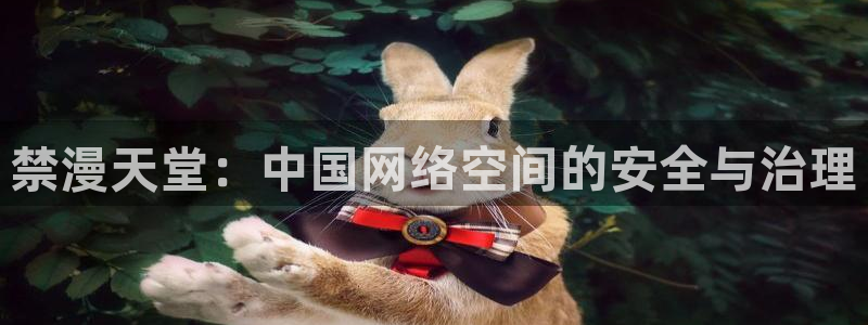 colamanage漫画下载：禁漫天堂：中国网络空间的安全与治理