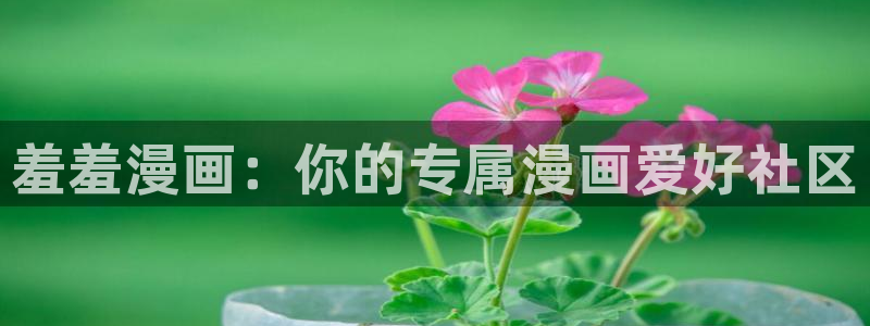 kakaopage韩漫官网：羞羞漫画：你的专属漫画爱好社区