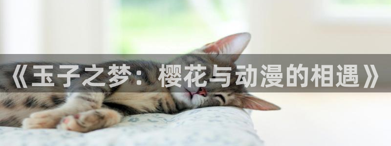 韩国漫画平台kakaopage：《玉子之梦：樱花与动漫的相遇》